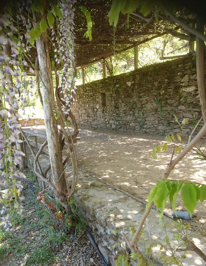 Le Mercou En Cevennes Saint-Martin-de-Boubaux Exterior foto